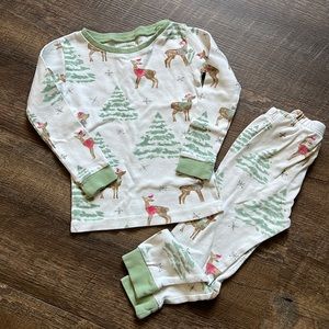 Toddler Winter Pajamas